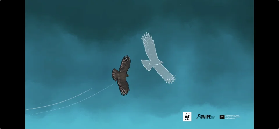 Screenshot from the WWF Adria - Short Audio Stories project